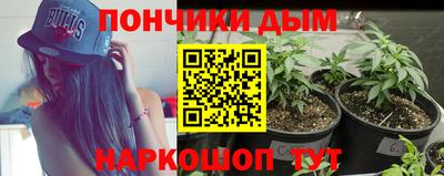 крисы Бузулук