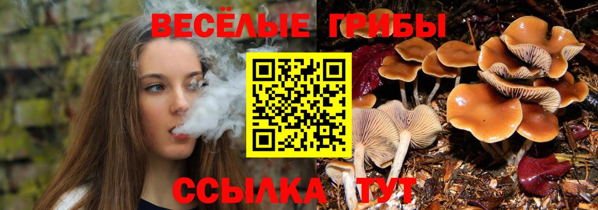 Псилоцибиновые грибы GOLDEN TEACHER  продажа наркотиков  Ростов-на-Дону  Вход с VPN 